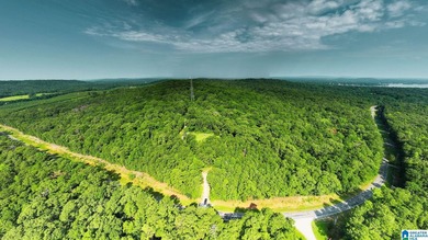 Discover 36.1 acres of wooded land offering privacy, lake views - photo 3