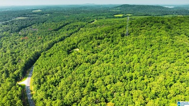 Discover 36.1 acres of wooded land offering privacy, lake views - photo 5