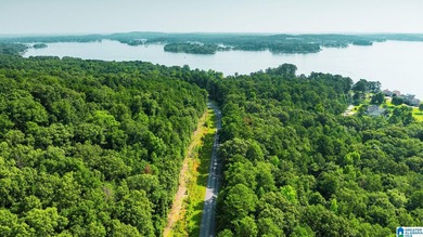 Discover 36.1 acres of wooded land offering privacy, lake views - photo 6