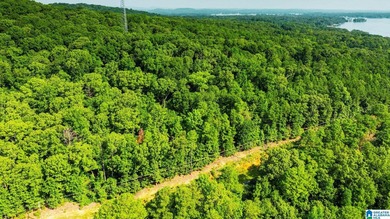 Discover 36.1 acres of wooded land offering privacy, lake views - photo 9