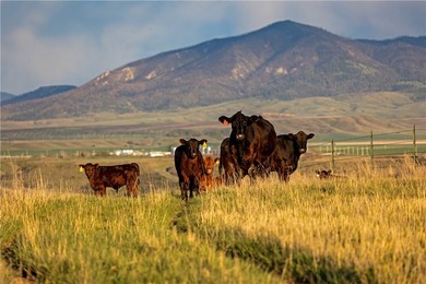 The Judith River Confluence Ranch spans 2,263+/- acres in the - photo 1
