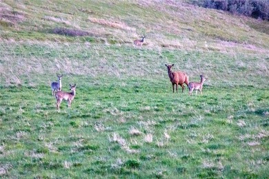 The Judith River Confluence Ranch spans 2,263+/- acres in the - photo 8