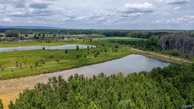 New Listing! First time offered! Beautiful farm featuring 2