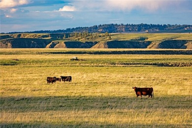 The Judith River Confluence Ranch spans 2,263+/- acres in the - photo 9