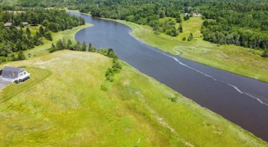 Narraguagus River Home For Sale in Cherryfield Maine