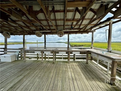Georgia Coastal Living with Marsh Views! Embrace the coastal - photo 44