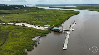 Georgia Coastal Living with Marsh Views! Embrace the coastal - photo 47