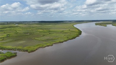 Georgia Coastal Living with Marsh Views! Embrace the coastal - photo 50