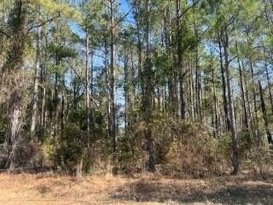Lake Blackshear Lot For Sale in Cordele Georgia