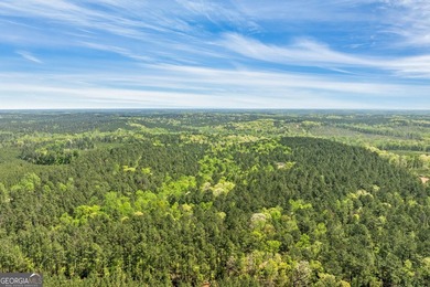 Discover the perfect blend of seclusion, natural beauty and - photo 11