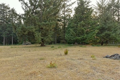 The majority of this wonderfully beautiful property is covered - photo 11