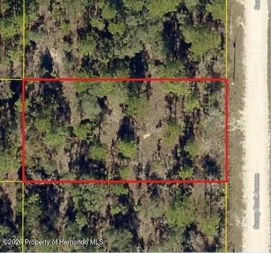 Set within the sought-after Royal Highlands community, this - photo 3