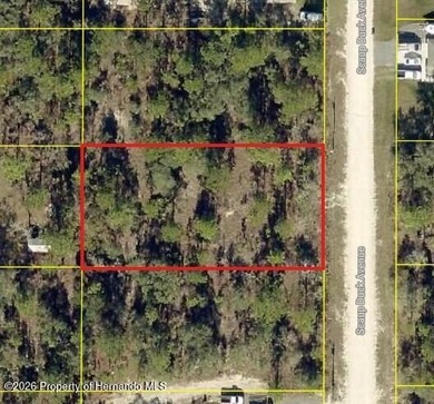 Set within the sought-after Royal Highlands community, this - photo 4