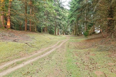 The majority of this wonderfully beautiful property is covered - photo 14