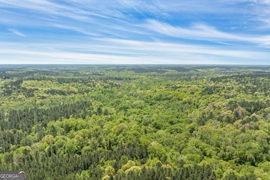 Discover the perfect blend of seclusion, natural beauty and - photo 15