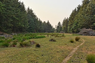 The majority of this wonderfully beautiful property is covered - photo 15