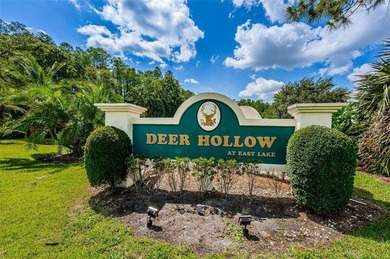 Nestled in the desirable Deer Hollow community within Pine Ridge - photo 25