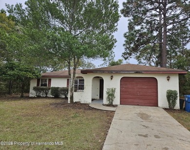 2/2/1 with a screened Lanai home in a nice part of Spring Hill - photo 1
