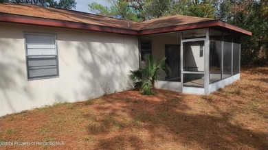 2/2/1 with a screened Lanai home in a nice part of Spring Hill - photo 4