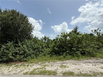 Lehigh Acres Area Lot For Sale in Lehigh Acres Florida