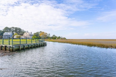 Experience the best of Lowcountry living in the beautiful Coosaw - photo 47