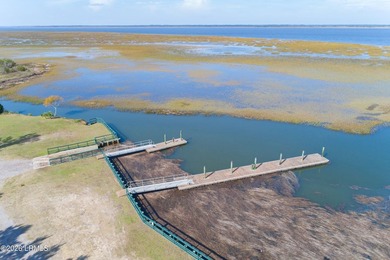 Experience the best of Lowcountry living in the beautiful Coosaw - photo 49