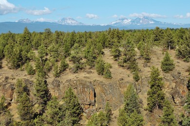 This +/- 118 acre property located less than 20 minutes north of - photo 2