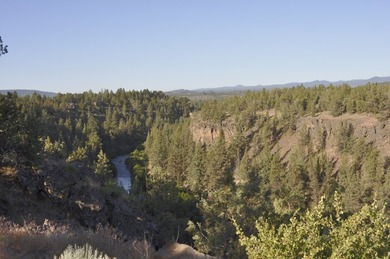 This +/- 118 acre property located less than 20 minutes north of - photo 4