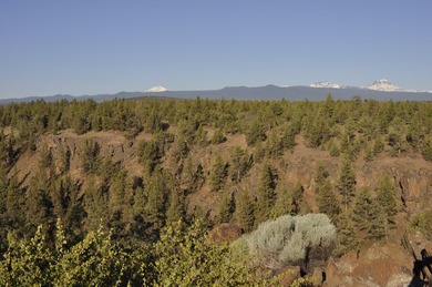 This +/- 118 acre property located less than 20 minutes north of - photo 5