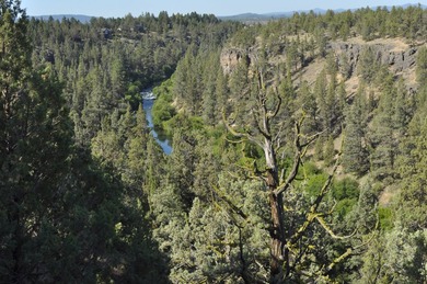 This +/- 118 acre property located less than 20 minutes north of - photo 6