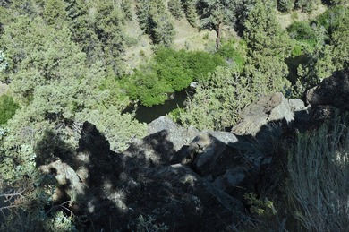 This +/- 118 acre property located less than 20 minutes north of - photo 7