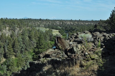 This +/- 118 acre property located less than 20 minutes north of - photo 8