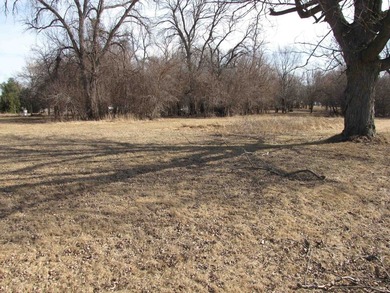 This rural residential lot offers a perfect setting to build - photo 11