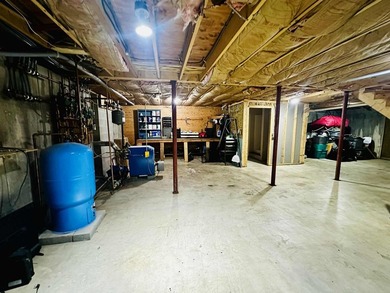 This 3 Bedroom, 2 Bath home on Bog Lake in Northfield sits on a - photo 30