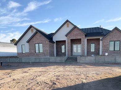 Frog Lake Home For Sale in Canyon Texas