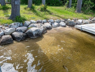 Discover unparalleled luxury at Camp Woodlands on Long Lake, an - photo 33