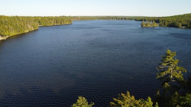 This 3 Bedroom, 2 Bath home on Bog Lake in Northfield sits on a - photo 36