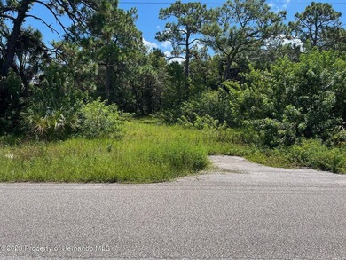 Rare opportunity to own an A-C Agricultural zoned property with - photo 8