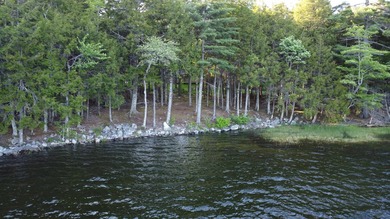 This 3 Bedroom, 2 Bath home on Bog Lake in Northfield sits on a - photo 39