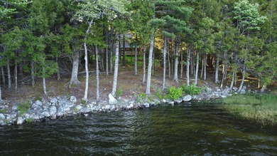 This 3 Bedroom, 2 Bath home on Bog Lake in Northfield sits on a - photo 40