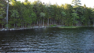 This 3 Bedroom, 2 Bath home on Bog Lake in Northfield sits on a - photo 41