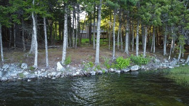 This 3 Bedroom, 2 Bath home on Bog Lake in Northfield sits on a - photo 42