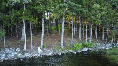 This 3 Bedroom, 2 Bath home on Bog Lake in Northfield sits on a - photo 43