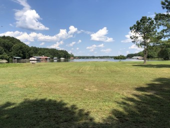TWO LOTS WITH AWESOME LAKE VIEW LEVEL & READY TO BUILD ON - Lake Lot For Sale in Pachuta, Mississippi