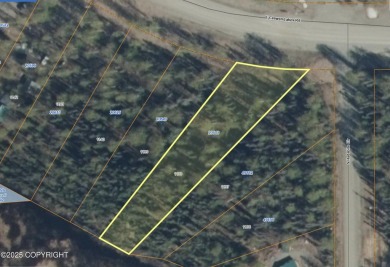 Lake Lot Sale Pending in Willow, Alaska
