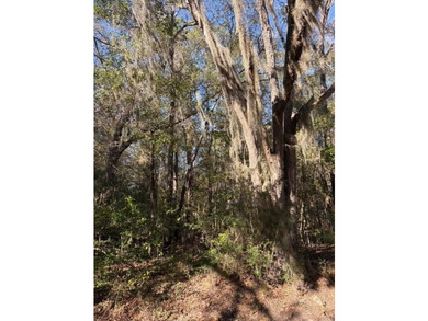 2.018+/- acre wooded homesite located on Trade Hill Road in - photo 2