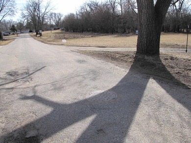 This rural residential lot offers a perfect setting to build - photo 12