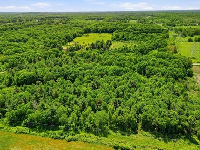This premium 85-acre recreational property offers the ultimate - photo 13