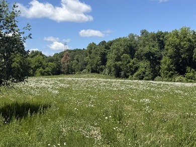 This premium 85-acre recreational property offers the ultimate - photo 16