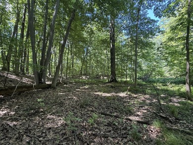 This premium 85-acre recreational property offers the ultimate - photo 17
